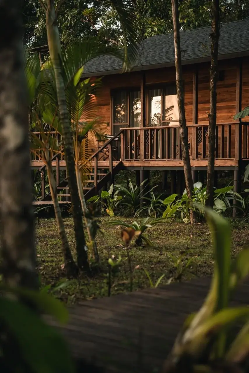 Cabaña de madera en palafitos rodeada de selva